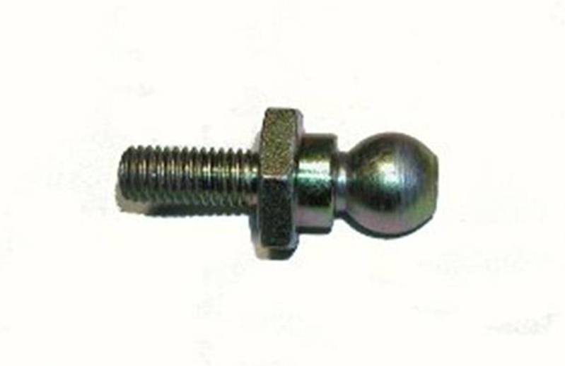 ROTULA